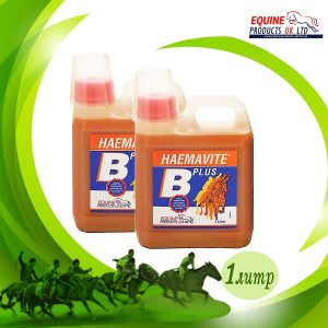 Read more about the article HAEMATIVE B PLUS (1L)