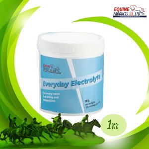 Read more about the article EVERYDAY ELECTROLYTE (1kg)