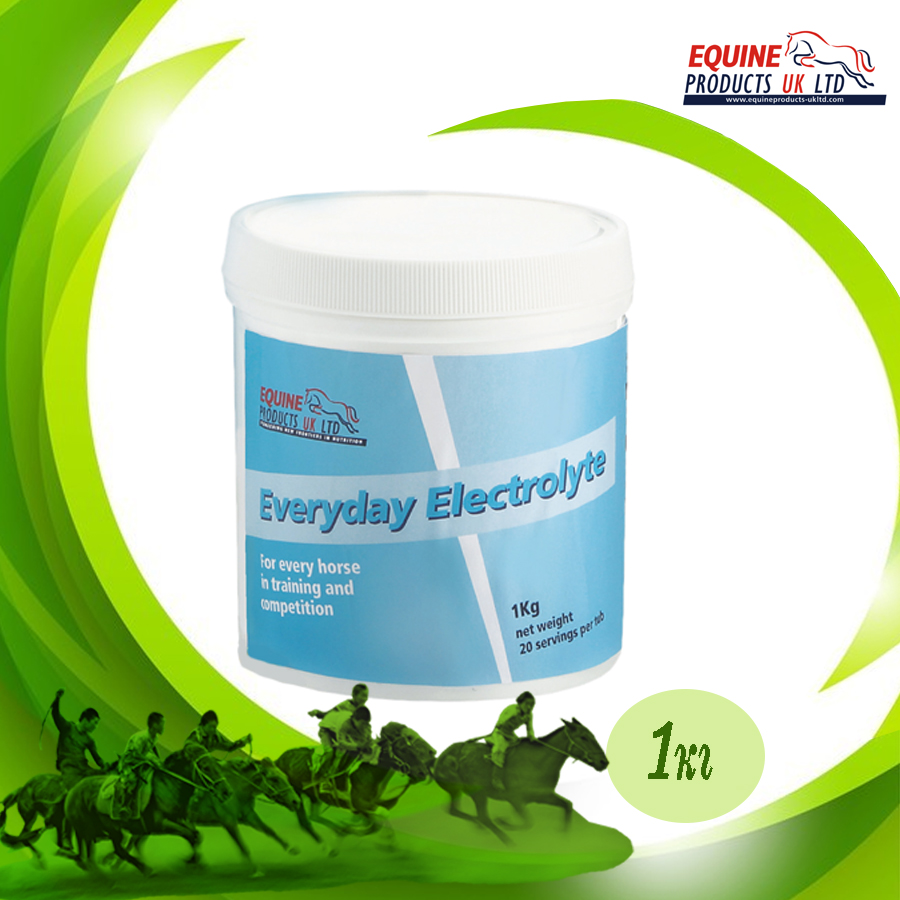 You are currently viewing EVERYDAY ELECTROLYTE (1kg)