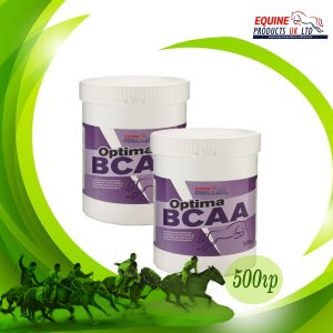 Read more about the article OPTIMA BCAA (500g)