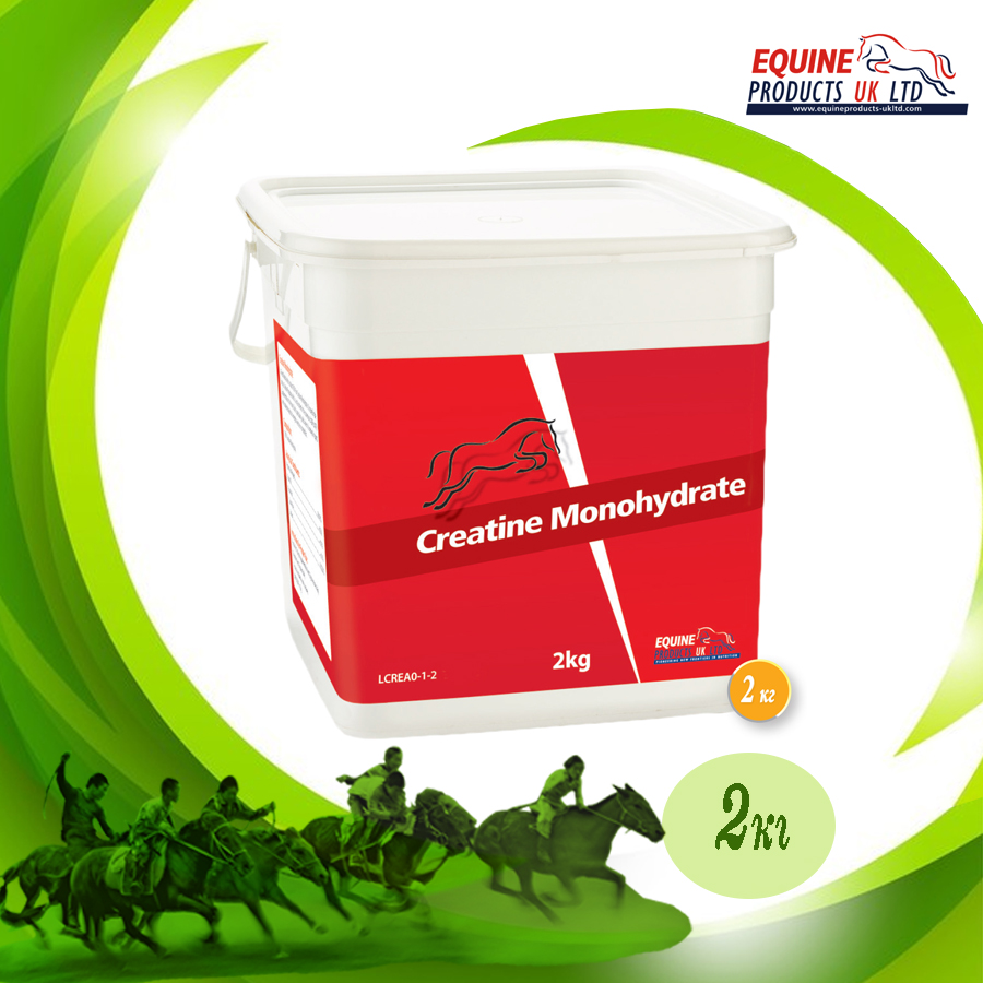 You are currently viewing CREATINE MONOHYDRATE (2kg)